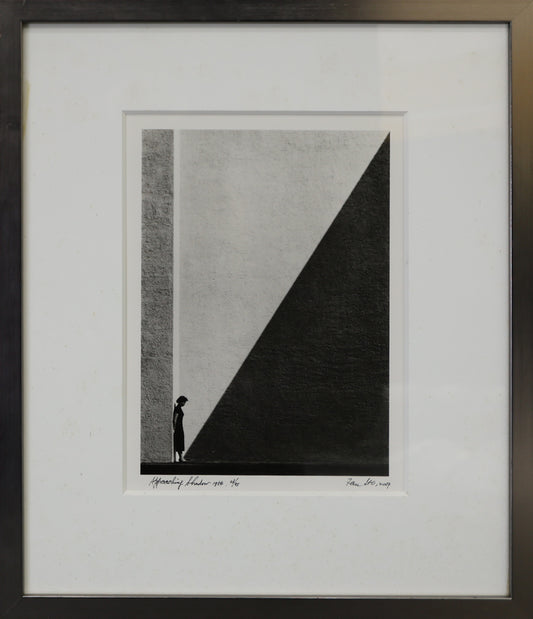 1009 Approaching Shadow 陰影