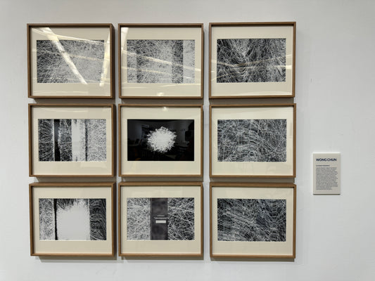 4153 Light Trace: Scanned Memories《讀光： 掃描記憶》